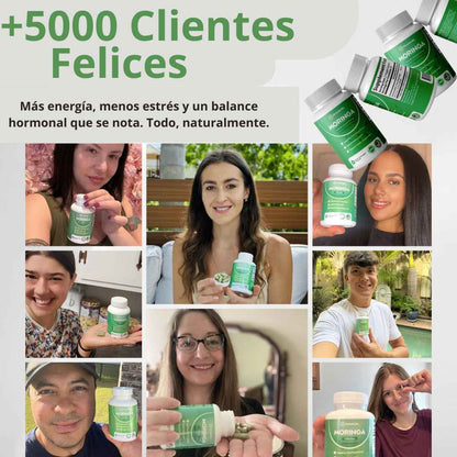 Moringa Rosabella - Equilibra tu cuerpo y reduce naturalmente el cortisol