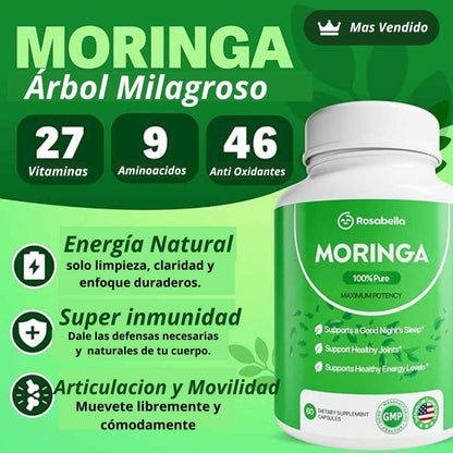 Moringa Rosabella - Equilibra tu cuerpo y reduce naturalmente el cortisol