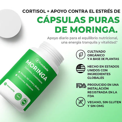 Moringa Rosabella - Equilibra tu cuerpo y reduce naturalmente el cortisol